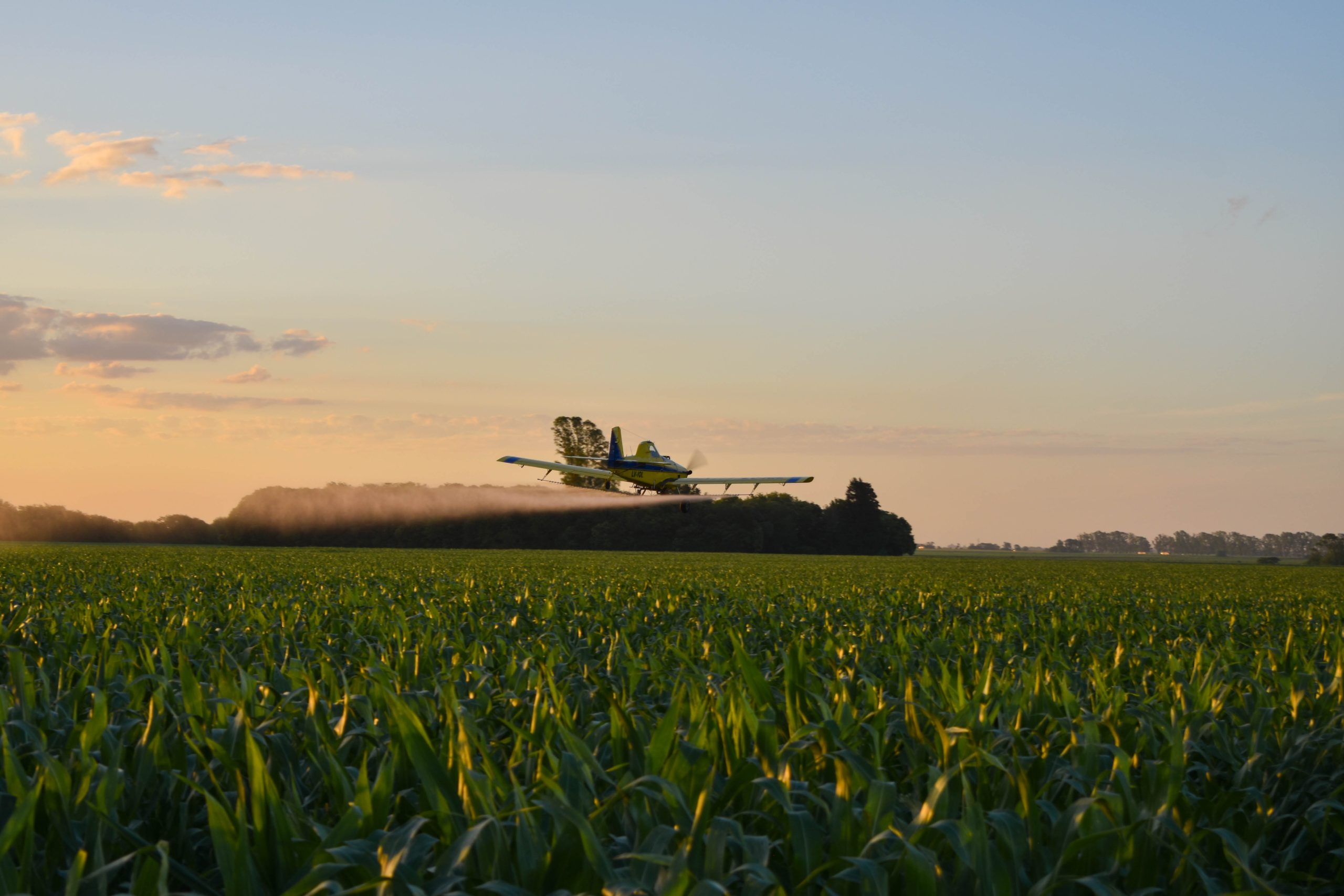 avioneta-siembra-agroproductos-alltec