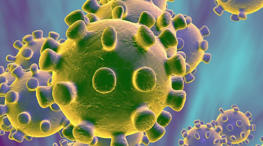 Coronavirus; sus efectos en el sector agropecuario argentino.
