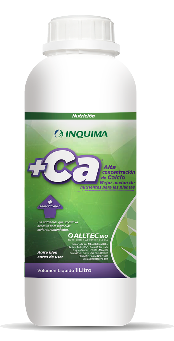 Ca